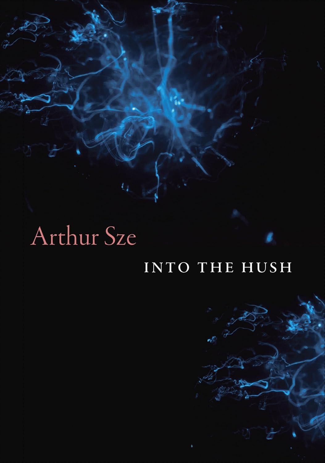 Into The Hush