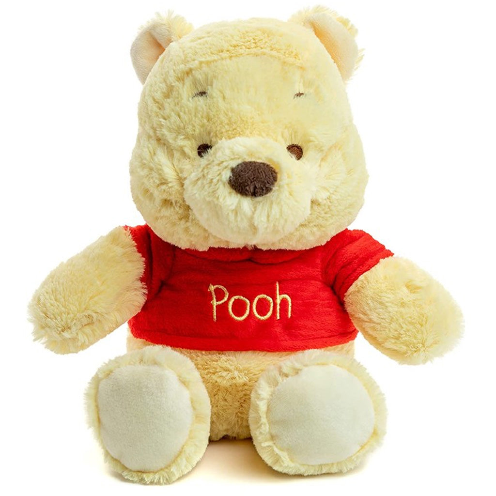 Winnie the Pooh plush