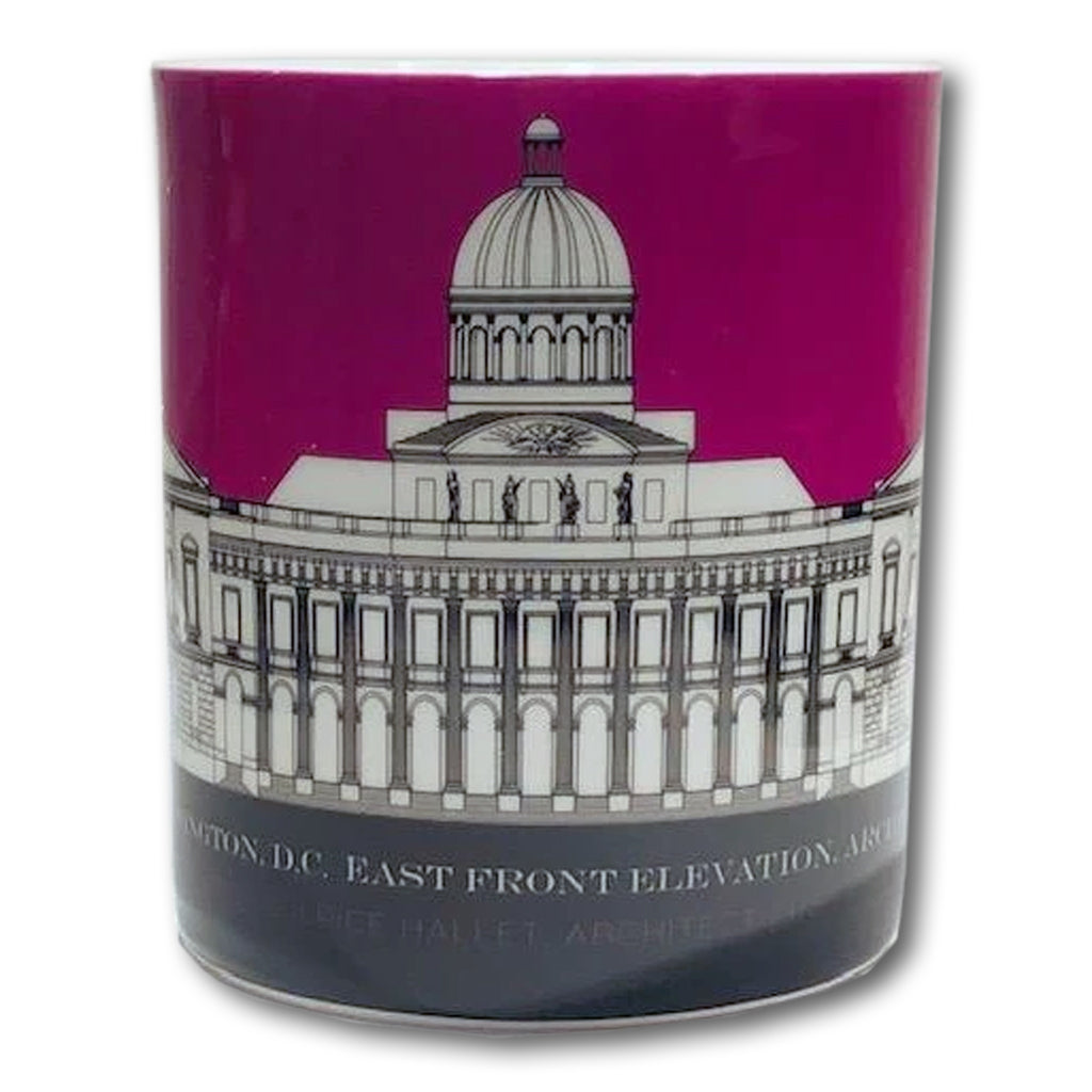 Washington D.C. Mug