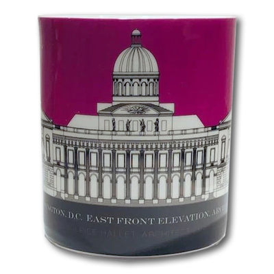 Washington D.C. Mug