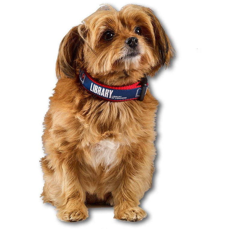 Library Logo Pet Collar